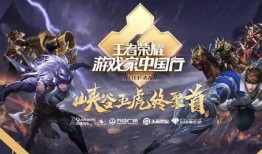 马超fmvp视频爆料,揭秘赛场幕后英雄之路