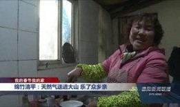 德阳吃瓜最新事件爆料新闻,揭秘背后真相，网络舆论风暴再起