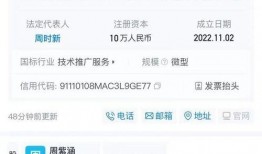 天天最新新闻爆料网官网,揭秘热点事件，追踪社会动态